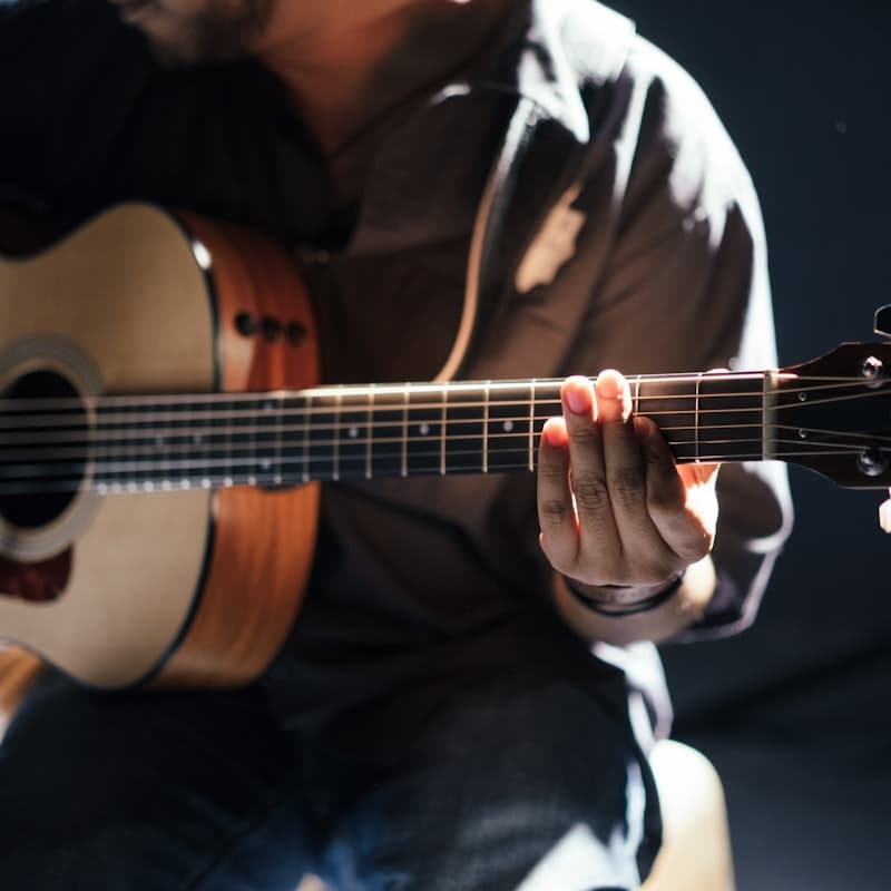 Carnatic Baithak: Living-Room Concert — Highlights